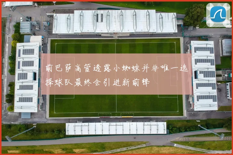 前巴萨高管透露小蜘蛛并非唯一选择球队最终会引进新前锋